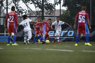 mk体育官网首页-圣基茨和尼维斯足球青训营扩大规模,圣基茨和尼维斯是哪个国家