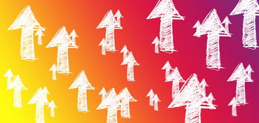 MK在线服务-大型赛事志愿者培训体系标准化推进,大型赛会志愿者培训