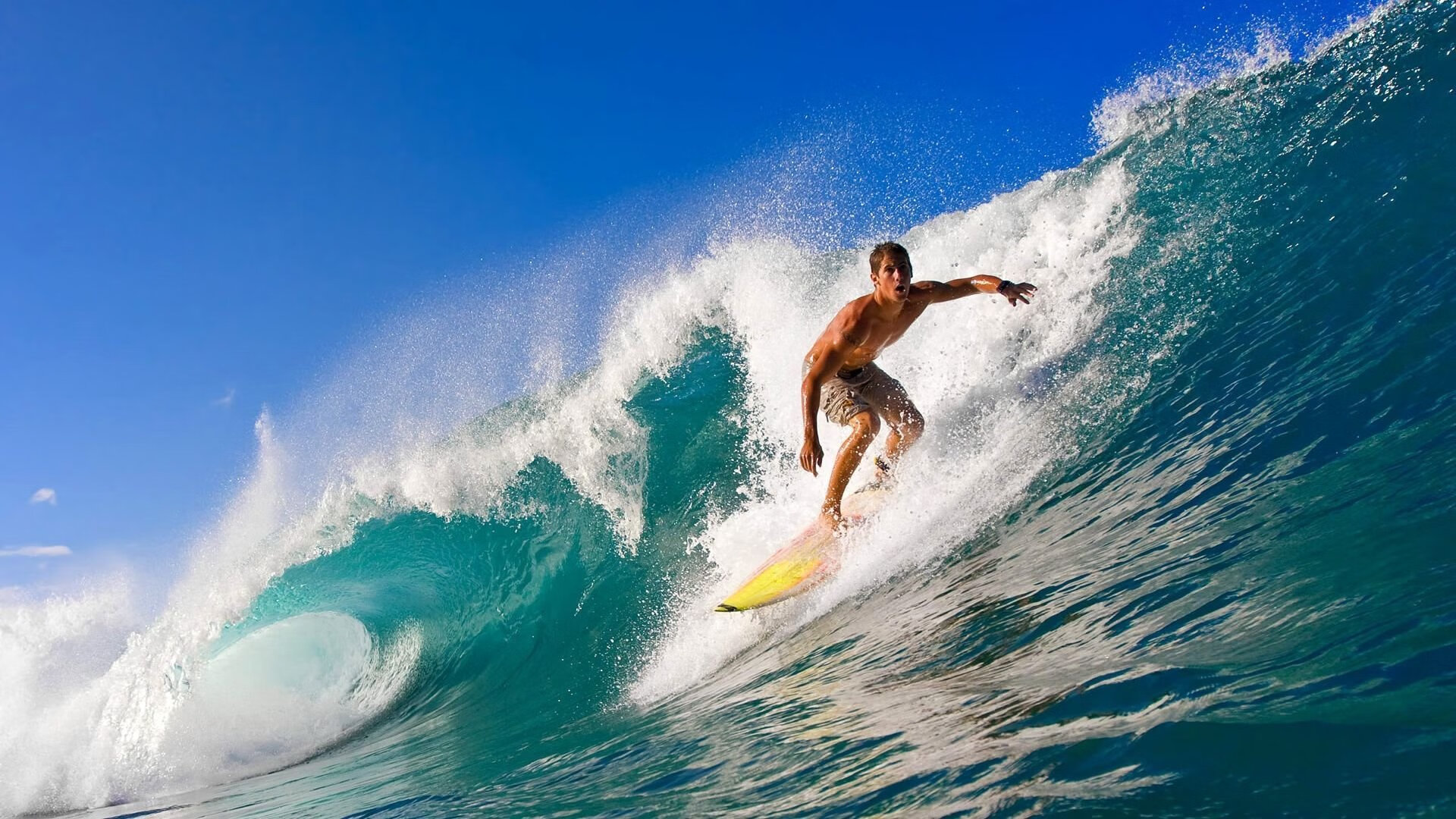 mksports体育-德甲冠军提前锁定,拜仁不容小觑!,德甲连冠