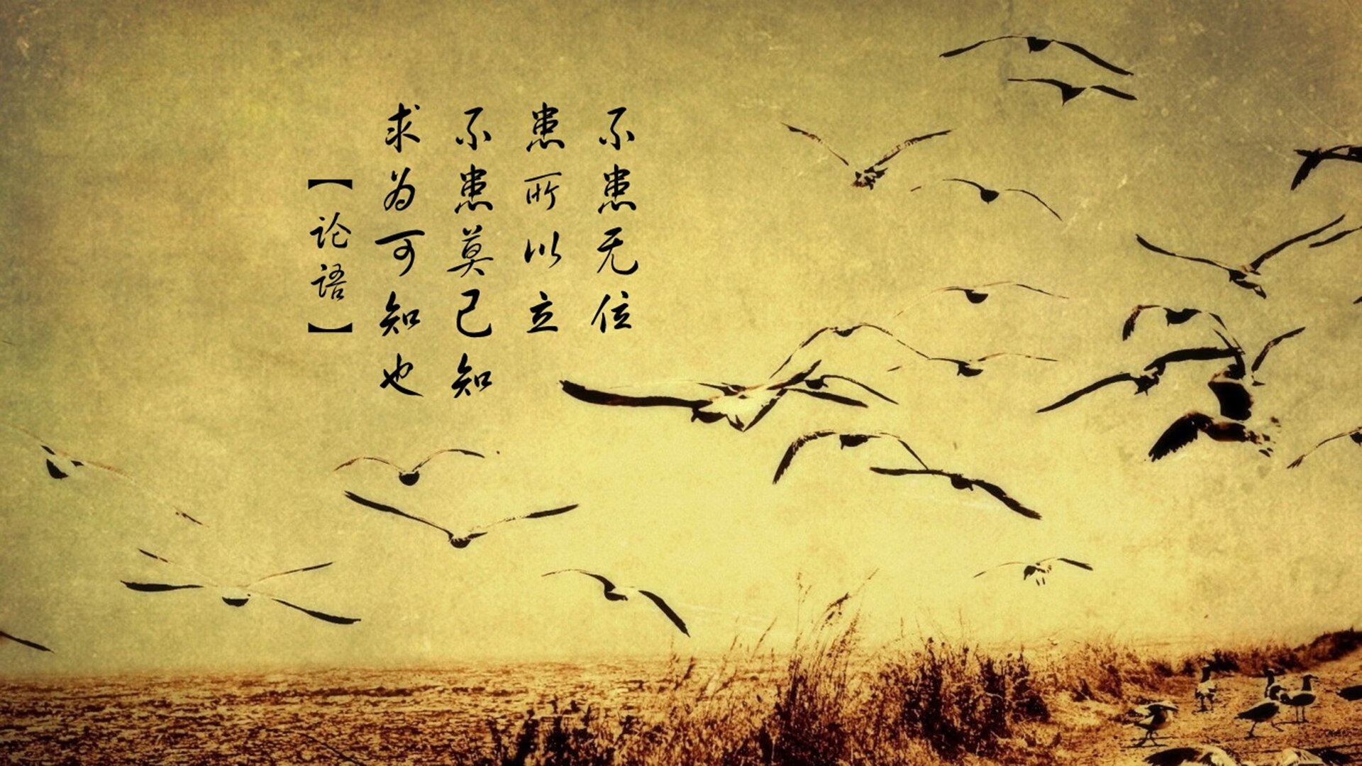 体育赛事多元化运营方案，体育赛事运营模式