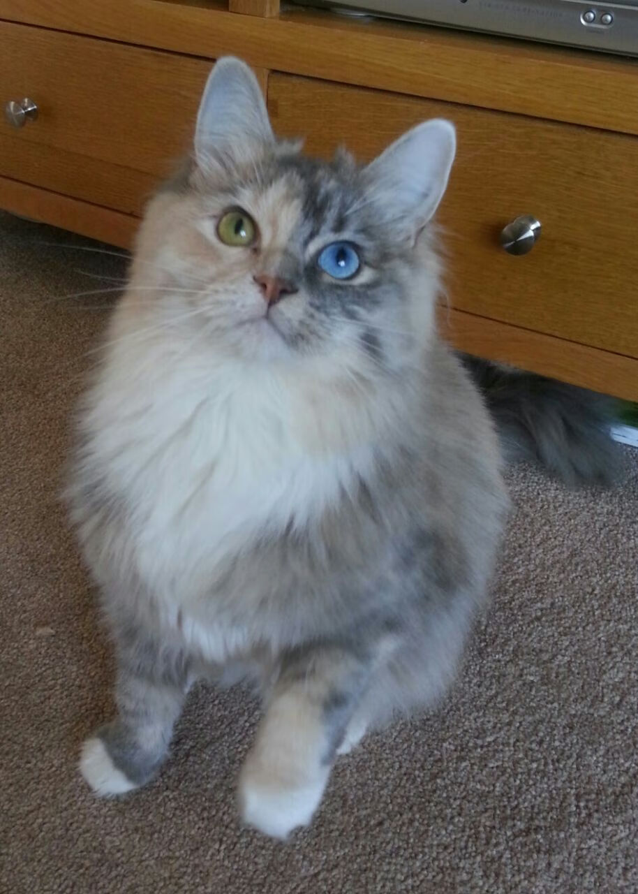 弗赖堡中后场连线构建稳定体系，弗赖堡主帅