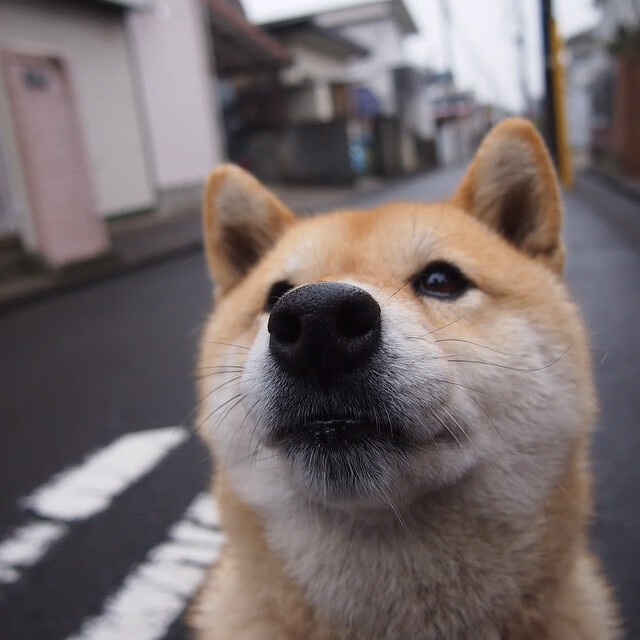 CBA推动主客场文化建设增强地区归属感，cba主场和客场的区别