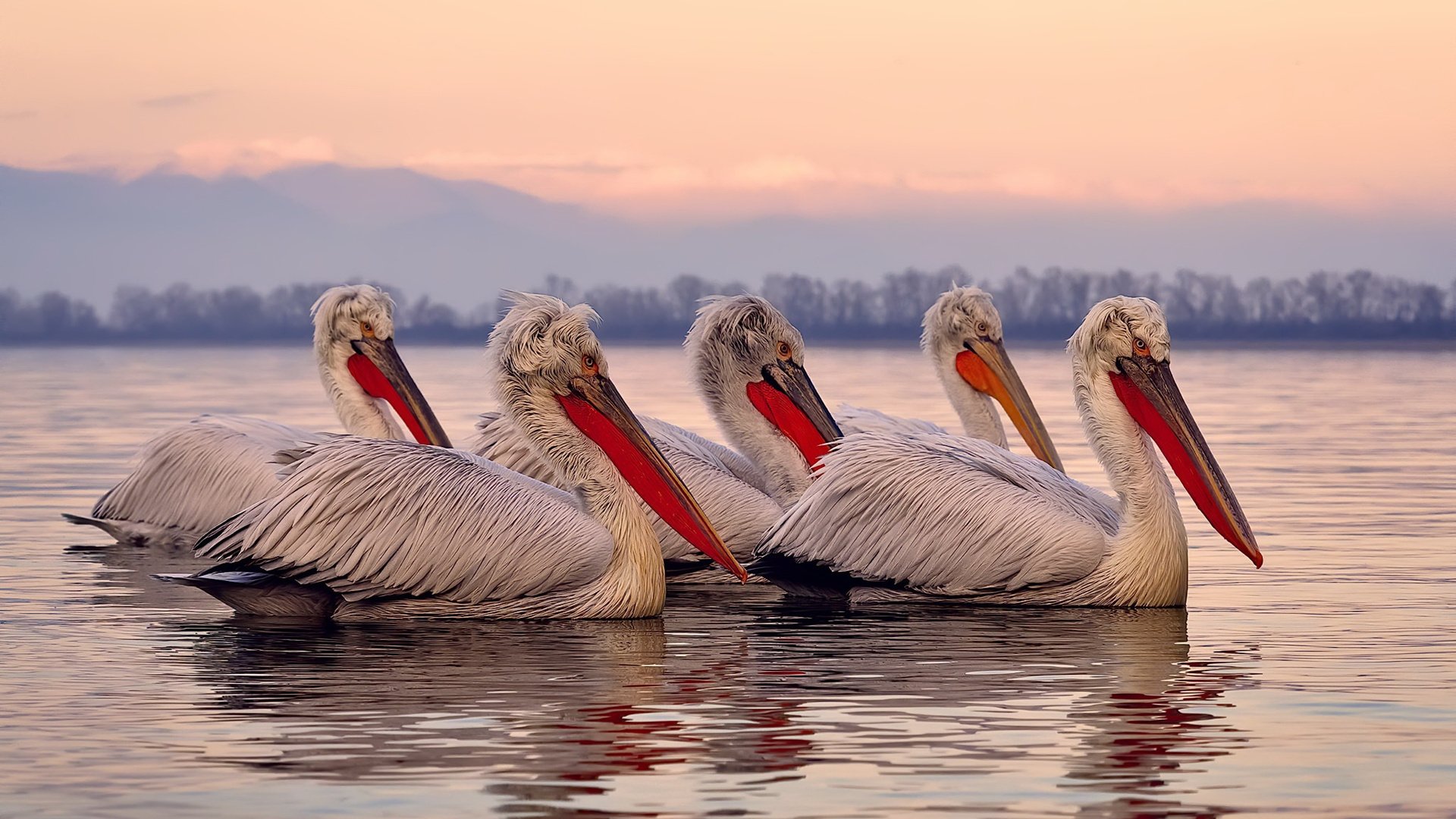 中国足球青训课程设置加入团队协作训练模块,足协 青训