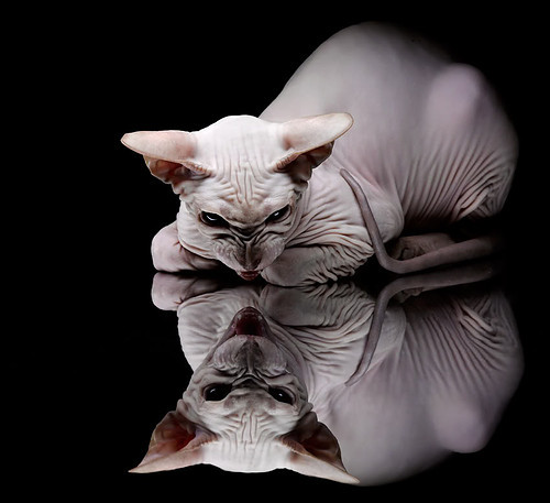 mk体育现在-意甲快速反击：瞬间突破，场面火爆！，意甲对阵时间表