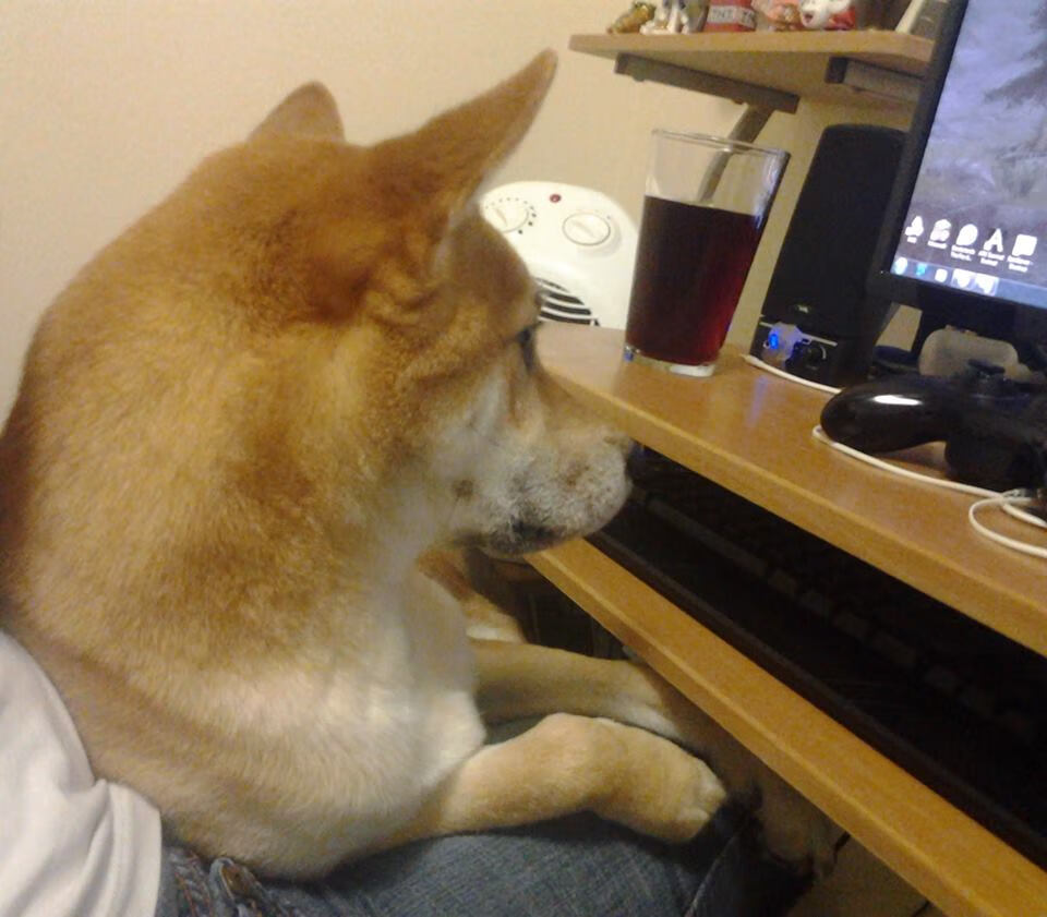 mk体育官网-欧洲杯变阵新奇：战术多变，场面精彩！，欧洲杯爆冷出局